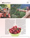Khyen Chyen_Page_13