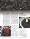 Khyen Chyen_Page_09